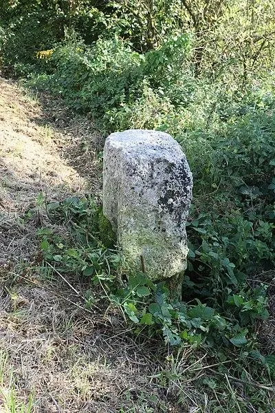 Foto de Terminales de Saint-Rémi (también en la comuna de Tremblois-Les-Rocroi) - NEUVENS Francis - © Creative Commons (https://creativecommons.org/licenses/by-sa/4.0/deed.fr)