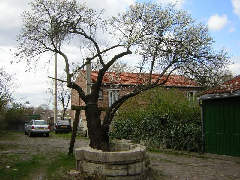 Foto di Hotel manuale (vecchio) - Parisette (talk ·contribs) - © Creative Commons (https://creativecommons.org/licenses/by-sa/4.0/deed.fr)