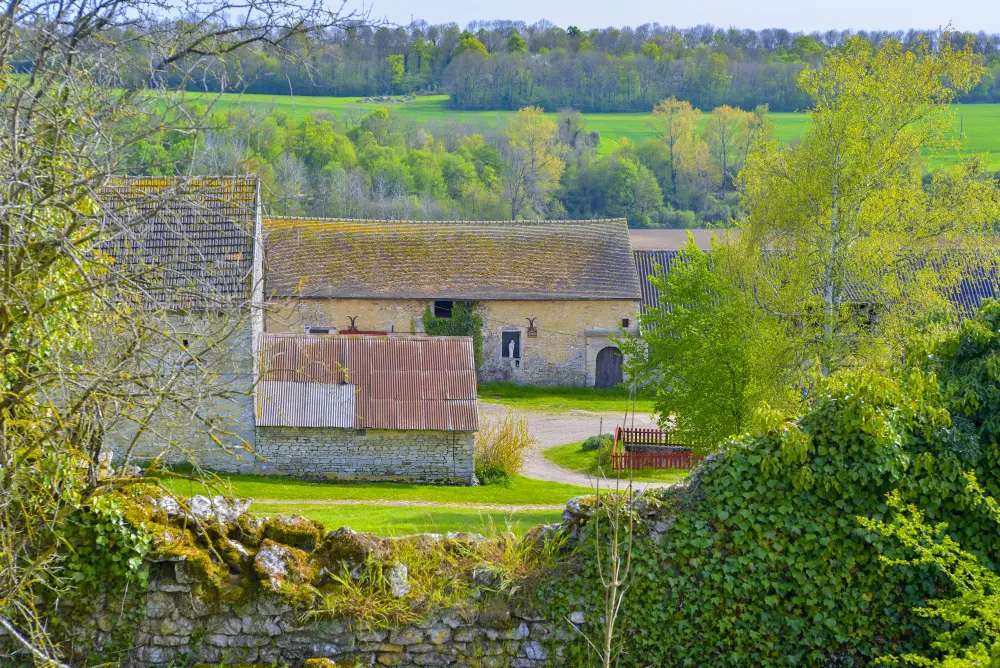 Foto von Templerkommando (alt) - Sous licence Creative Commons (https://creativecommons.org/licenses/by-sa/4.0/deed.fr) - Par Dominique Repérant - © Creative Commons (https://creativecommons.org/licenses/by-sa/4.0/deed.fr)