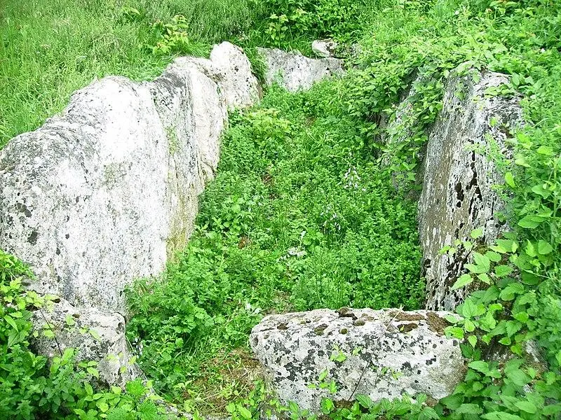 Foto von Sepulcral Megalithic Alley - Astérixobélix, Bicaisse - © Creative Commons (https://creativecommons.org/licenses/by-sa/4.0/deed.fr)