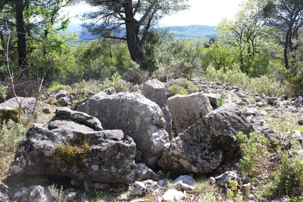 Picture of Dolmen of Puades - POP Plateforme Ouverte du Patrimoine / Base Mérimée - © Ministère de la Culture (France), Médiathèque du patrimoine et de la photographie, diffusion RMN-GP