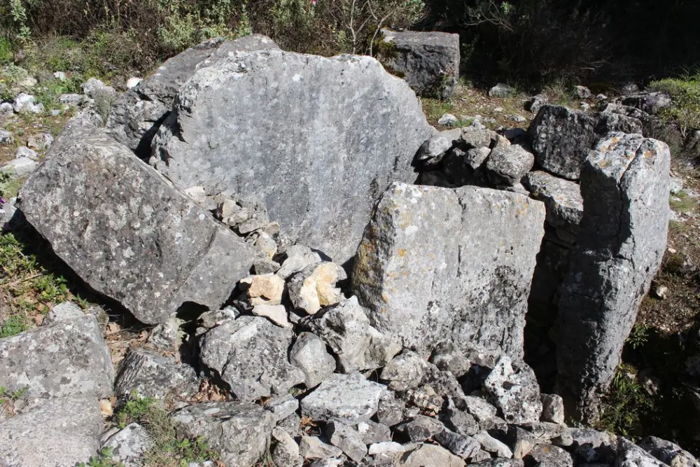 Picture of Dolmen of Puades - POP Plateforme Ouverte du Patrimoine / Base Mérimée - © Ministère de la Culture (France), Médiathèque du patrimoine et de la photographie, diffusion RMN-GP