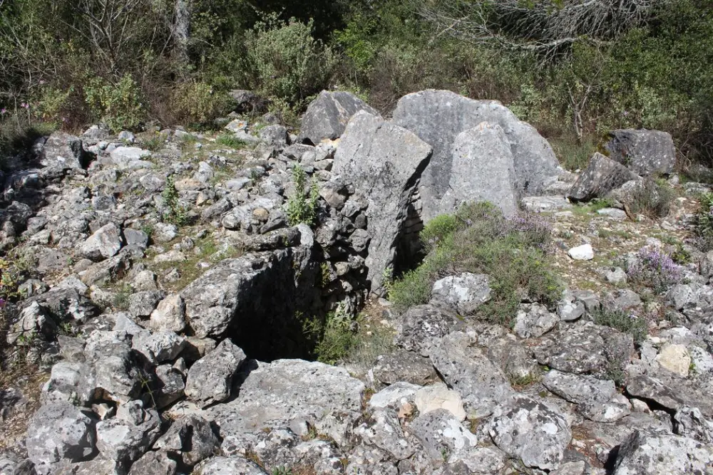 Picture of Dolmen of Puades - POP Plateforme Ouverte du Patrimoine / Base Mérimée - © Ministère de la Culture (France), Médiathèque du patrimoine et de la photographie, diffusion RMN-GP
