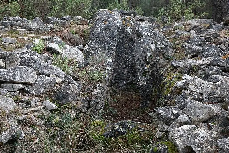 Picture of Dolmen of Colbas I - MOSSOT - © Creative Commons (https://creativecommons.org/licenses/by-sa/4.0/deed.fr)