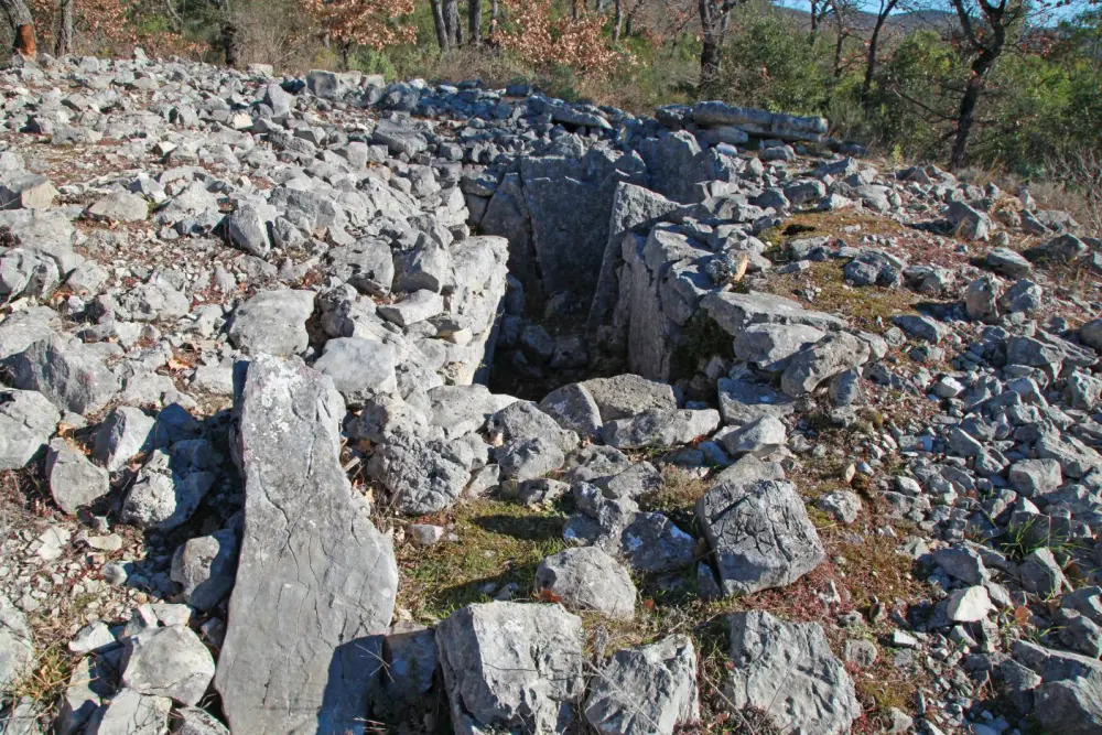 Foto de Dolmen y caen en bloques de mauvanos sud - Sous licence Creative Commons (https://creativecommons.org/licenses/by-sa/4.0/deed.fr) - Par MOSSOT - © Creative Commons (https://creativecommons.org/licenses/by-sa/4.0/deed.fr)