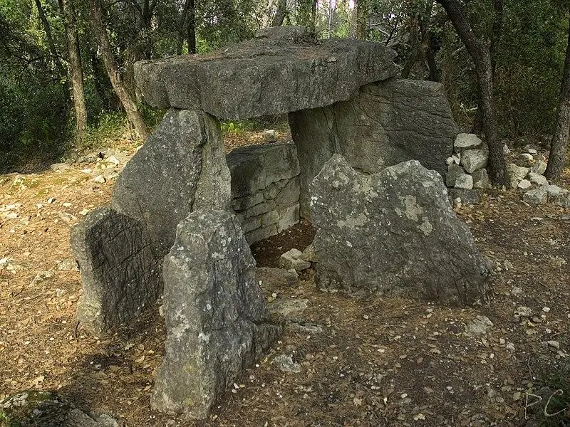 Foto di Dolmen di Gasté - Philippe COSENTINO - © Creative Commons (https://creativecommons.org/licenses/by-sa/4.0/deed.fr)