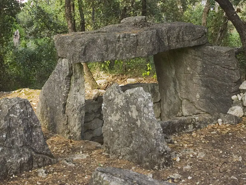 Foto di Dolmen di Gasté - Philippe COSENTINO - © Creative Commons (https://creativecommons.org/licenses/by-sa/4.0/deed.fr)