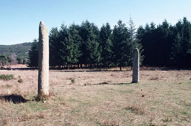 Foto de Los dos menhirs de la granja Lambert - POP Plateforme Ouverte du Patrimoine / Base Mérimée - © Monuments historiques