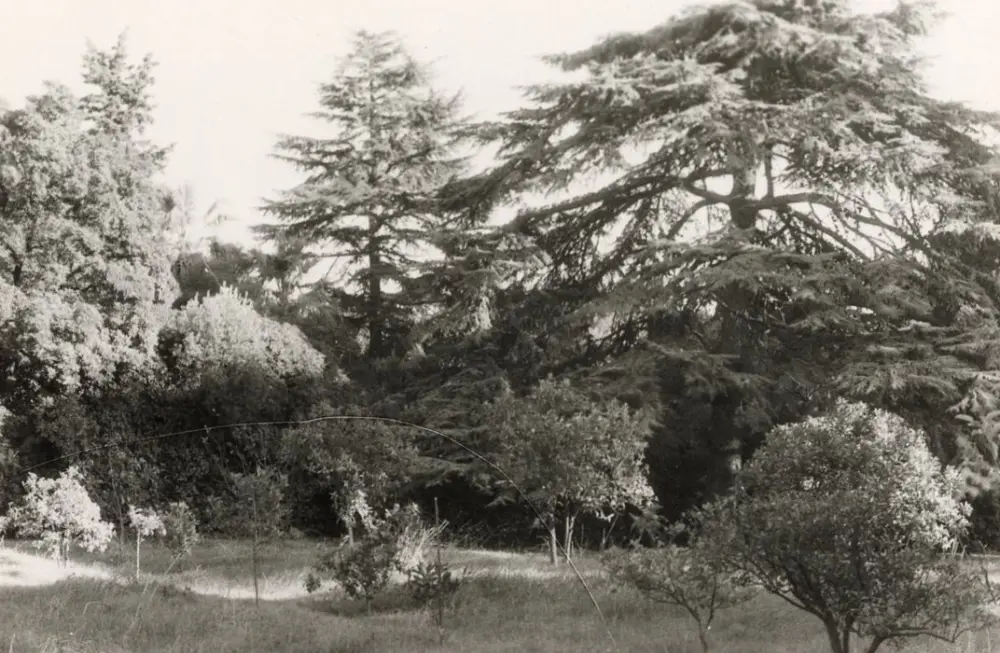 Picture of Villa Tholozan or Alberti - POP Plateforme Ouverte du Patrimoine / Base Mérimée - © Ministère de la Culture (France), Médiathèque du patrimoine et de la photographie, tous droits réservés
