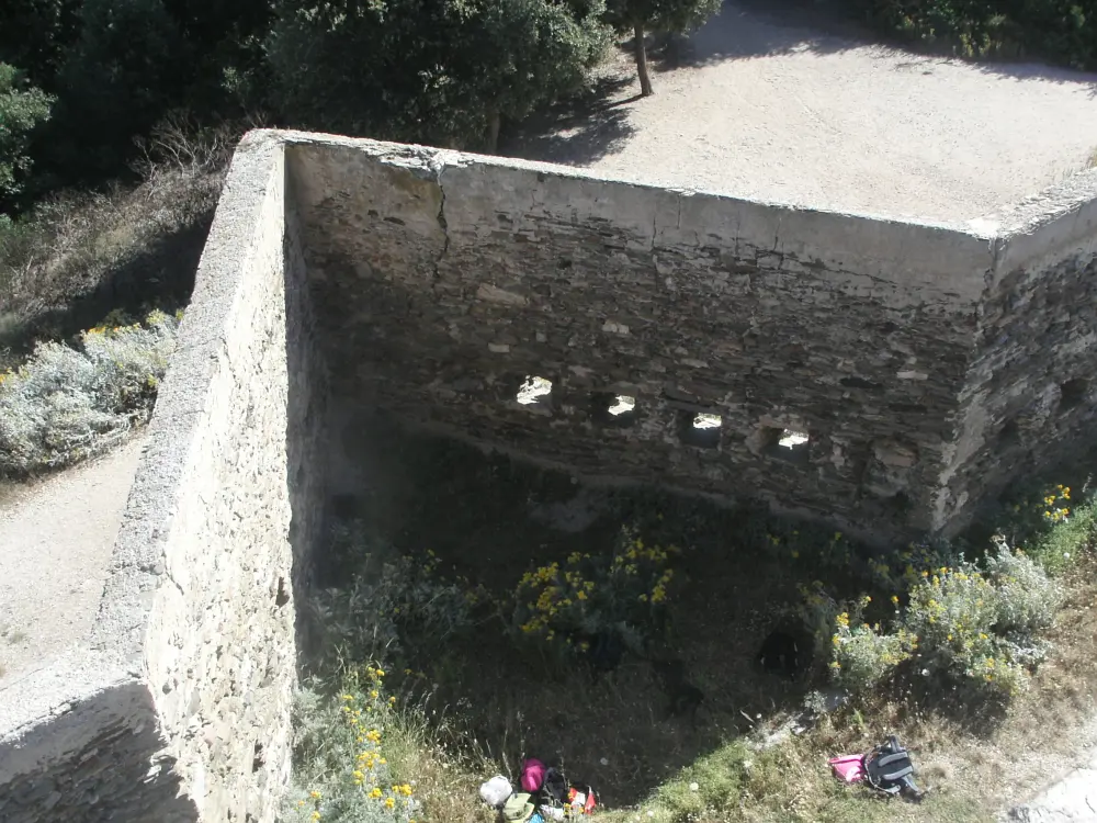 Foto de Alicastre Fort - Sous licence Creative Commons (https://creativecommons.org/licenses/by-sa/4.0/deed.fr) - Par Claude jullien - © Creative Commons (https://creativecommons.org/licenses/by-sa/4.0/deed.fr)