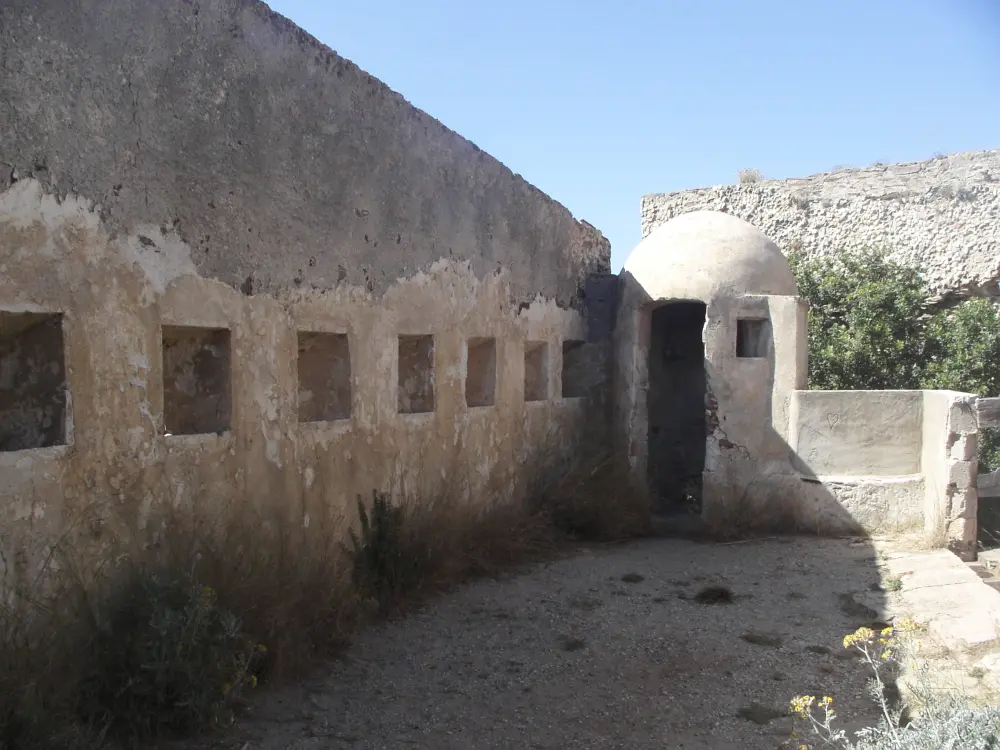 Foto de Alicastre Fort - Sous licence Creative Commons (https://creativecommons.org/licenses/by-sa/4.0/deed.fr) - Par Claude jullien - © Creative Commons (https://creativecommons.org/licenses/by-sa/4.0/deed.fr)