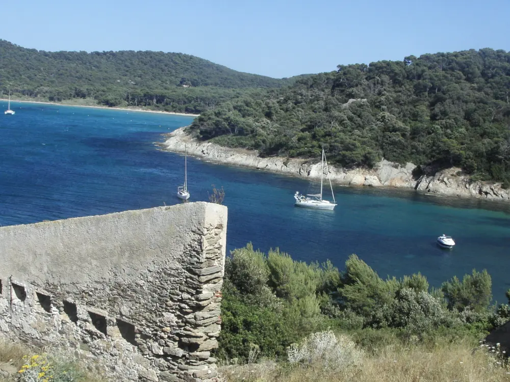 Foto de Alicastre Fort - Sous licence Creative Commons (https://creativecommons.org/licenses/by-sa/4.0/deed.fr) - Par Claude jullien - © Creative Commons (https://creativecommons.org/licenses/by-sa/4.0/deed.fr)