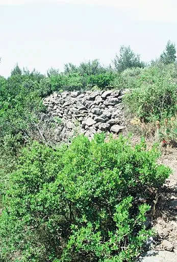 Foto di Celto-Ligure de la Courtine Oppidum (Vestiges) - POP Plateforme Ouverte du Patrimoine / Base Mérimée - © Monuments historiques