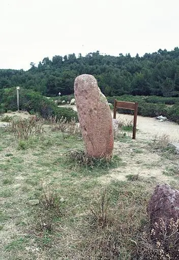 Foto von Menhir sagt Pierre Levée - POP Plateforme Ouverte du Patrimoine / Base Mérimée - © Monuments historiques