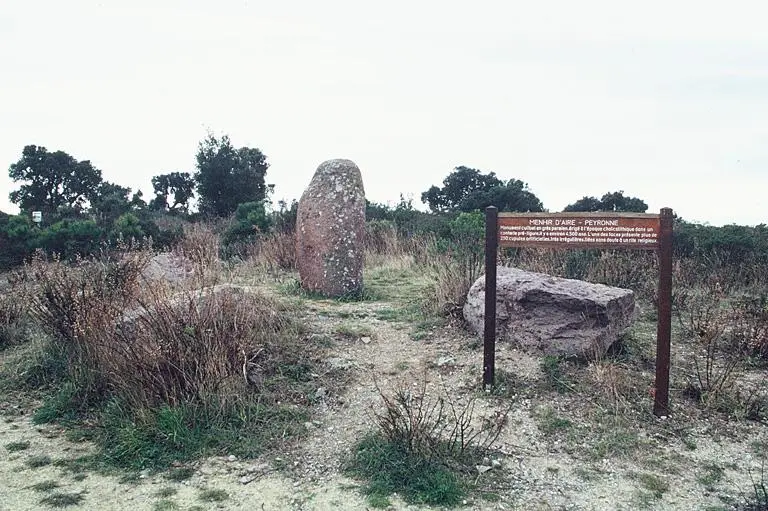 Foto von Menhir sagt Pierre Levée - POP Plateforme Ouverte du Patrimoine / Base Mérimée - © Monuments historiques