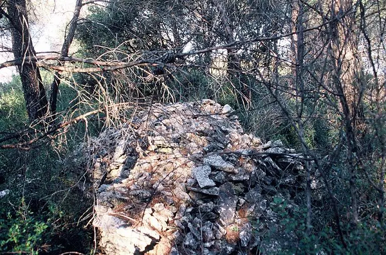 Foto de Castellas oppidum - POP Plateforme Ouverte du Patrimoine / Base Mérimée - © Monuments historiques