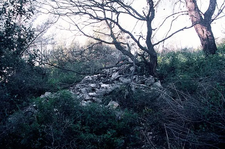 Foto de Castellas oppidum - POP Plateforme Ouverte du Patrimoine / Base Mérimée - © Monuments historiques