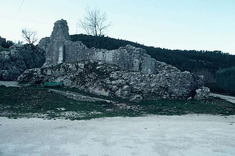 Foto di Château de Forbin (rovine) - POP Plateforme Ouverte du Patrimoine / Base Mérimée - © Monuments historiques