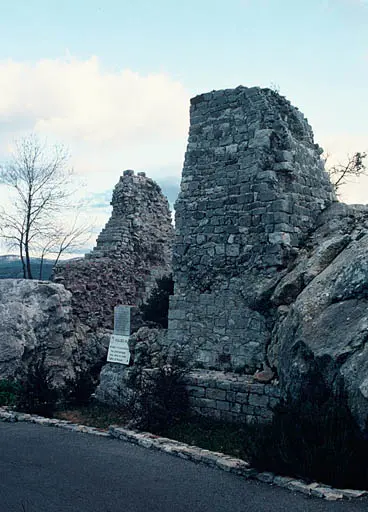 Foto di Château de Forbin (rovine) - POP Plateforme Ouverte du Patrimoine / Base Mérimée - © Monuments historiques