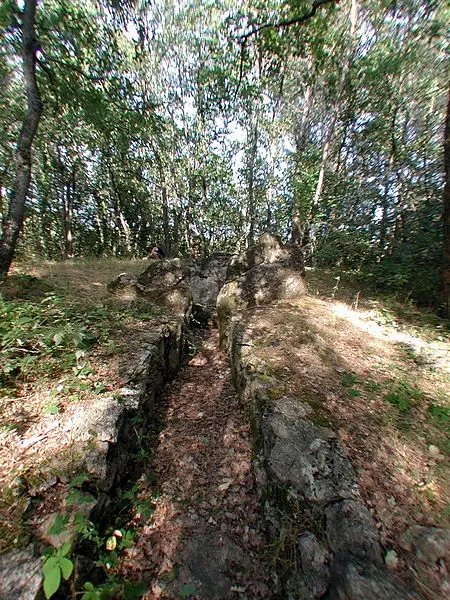 Picture of Dolmen of Verrerie-Vieille - This illustration was made by (User:Royonx) and re - © Creative Commons (https://creativecommons.org/licenses/by-sa/4.0/deed.fr)