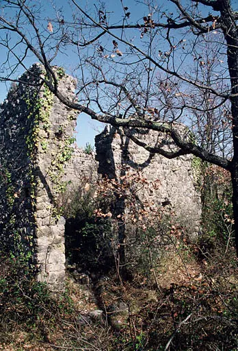Picture of Medieval village of Puybushon or Pibresson-Venasque (ruins of) - POP Plateforme Ouverte du Patrimoine / Base Mérimée - © Monuments historiques