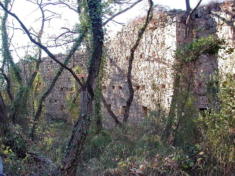 Picture of Medieval village of Puybushon or Pibresson-Venasque (ruins of) - This illustration was made by (User:Royonx) and re - © Creative Commons (https://creativecommons.org/licenses/by-sa/4.0/deed.fr)