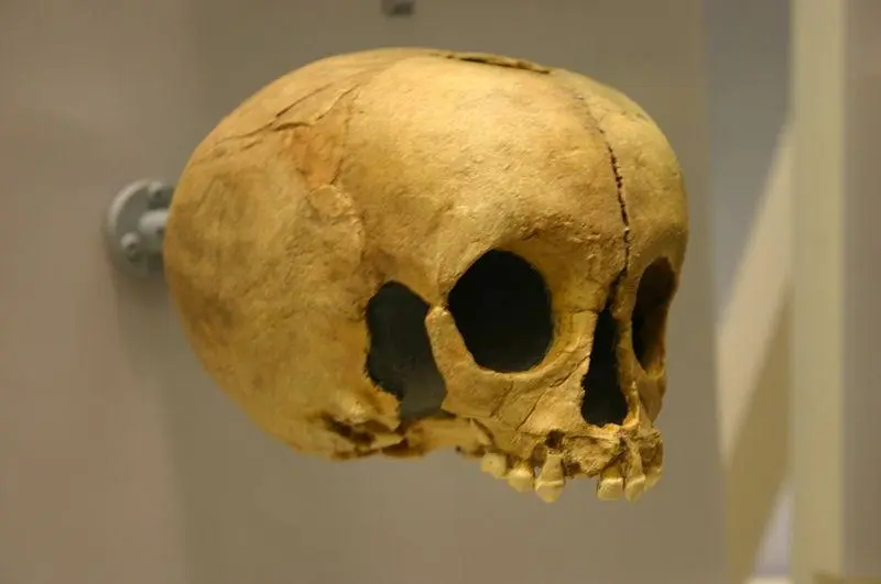 Foto de Depósito prehistórico de la Pech de Azé - Ryan Somma from Occoquan, USA - © Creative Commons (https://creativecommons.org/licenses/by-sa/4.0/deed.fr)