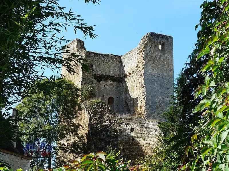 Foto von Château de Clérans - Père Igor - © Creative Commons (https://creativecommons.org/licenses/by-sa/4.0/deed.fr)