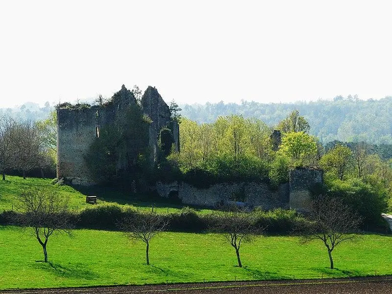 Foto von Renaudie Castle - Père Igor - © Creative Commons (https://creativecommons.org/licenses/by-sa/4.0/deed.fr)