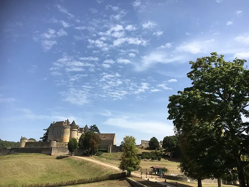 Foto di Castello di Fénelon - Rdejs - © Creative Commons (https://creativecommons.org/licenses/by-sa/4.0/deed.fr)