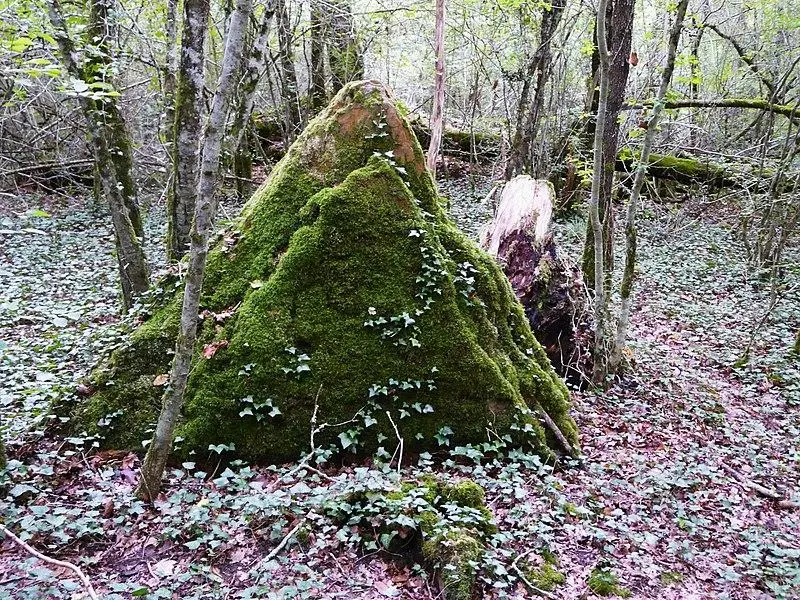 Foto de Megalito - Père Igor - © Creative Commons (https://creativecommons.org/licenses/by-sa/4.0/deed.fr)