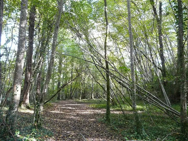 Foto von Domaine du Château de Bridoire - Père Igor - © Creative Commons (https://creativecommons.org/licenses/by-sa/4.0/deed.fr)