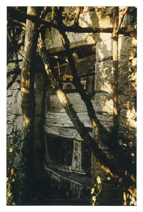 Foto di Cabina in pietra secca di peiremole - POP Plateforme Ouverte du Patrimoine / Base Mérimée - © Ministère de la Culture (France), Médiathèque du patrimoine et de la photographie, Tous droits réservés 