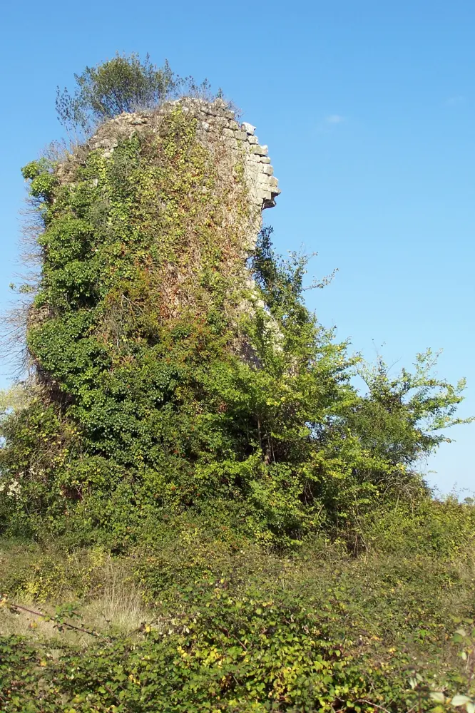 Foto von Ruinen des Schlosses - Sous licence Creative Commons (https://creativecommons.org/licenses/by-sa/4.0/deed.fr) - Par Henrysalome - © Creative Commons (https://creativecommons.org/licenses/by-sa/4.0/deed.fr)