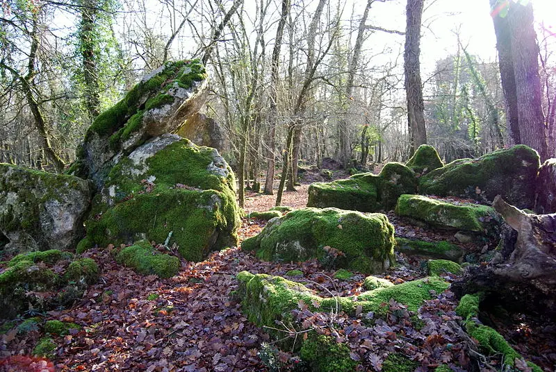 Foto de Dolmens - William Ellison - © Creative Commons (https://creativecommons.org/licenses/by-sa/4.0/deed.fr)