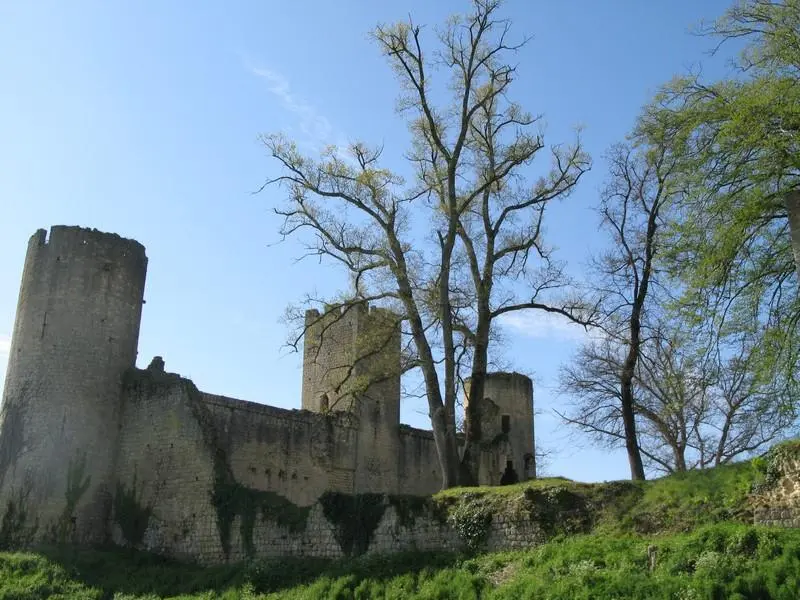 Foto von Budos Schloss - Olivier Dupacq - © Creative Commons (https://creativecommons.org/licenses/by-sa/4.0/deed.fr)
