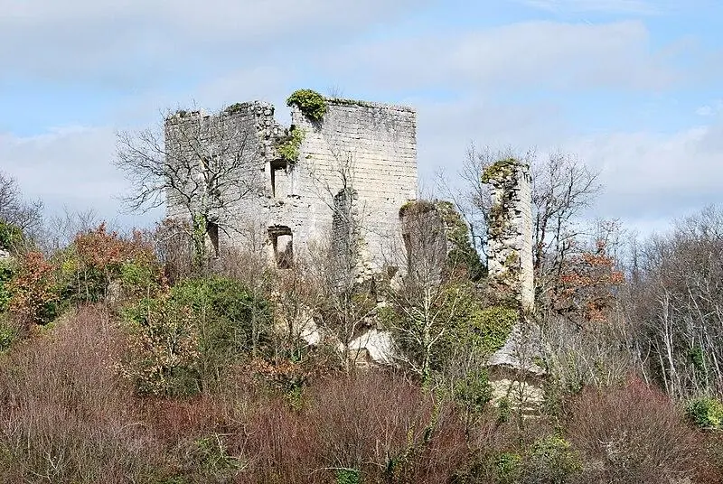 Foto von Ruinen des Schlosses von Malengin - William Ellison - © Creative Commons (https://creativecommons.org/licenses/by-sa/4.0/deed.fr)