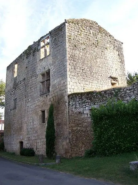 Foto de Ruinas del castillo - Henry Salomé - © Creative Commons (https://creativecommons.org/licenses/by-sa/4.0/deed.fr)