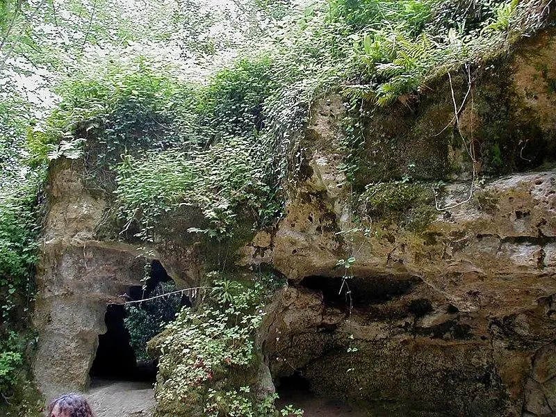 Foto de Cueva de pintura llamada Peer-No-Pair - Xabi Rome-Hérault - © Creative Commons (https://creativecommons.org/licenses/by-sa/4.0/deed.fr)