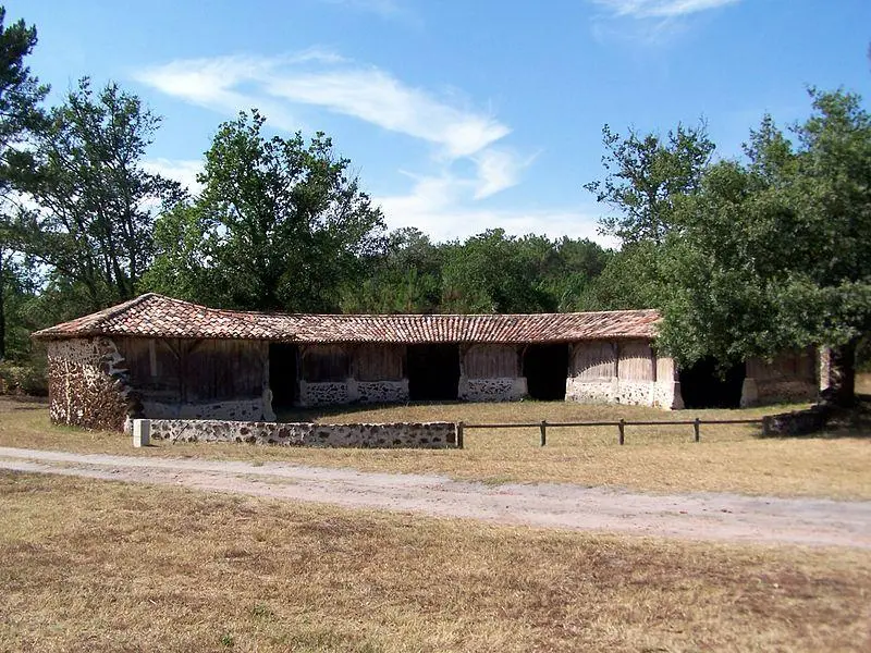 Foto de Antiguo pable de oveja redondo - Henry Salomé - © Creative Commons (https://creativecommons.org/licenses/by-sa/4.0/deed.fr)