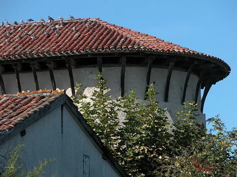 Foto di Chiesa di Saint-Saturnin - Mimajo37 - © Creative Commons (https://creativecommons.org/licenses/by-sa/4.0/deed.fr)