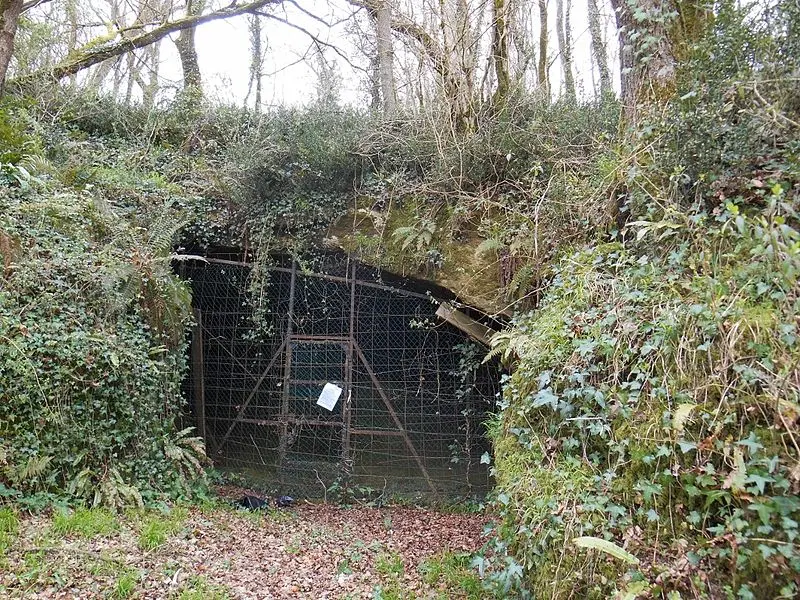 Picture of Pouy prehistoric caves - Dame de Brassempouy - © Creative Commons (https://creativecommons.org/licenses/by-sa/4.0/deed.fr)