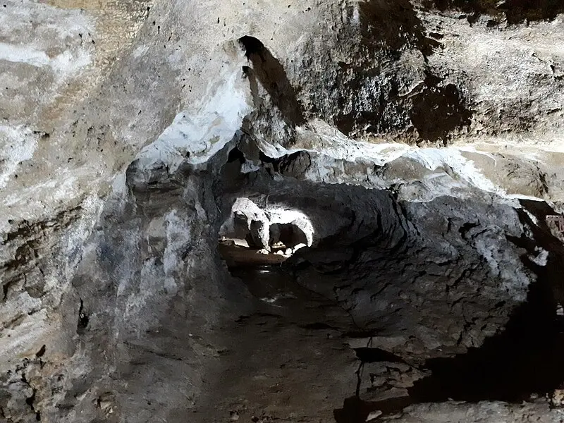 Picture of Pouy prehistoric caves - BotaFlo - © Creative Commons (https://creativecommons.org/licenses/by-sa/4.0/deed.fr)