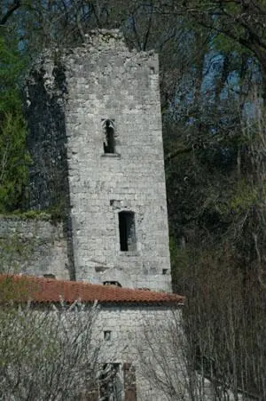 Foto von Ruinen des Péchon -Dungeons - Saintantoine - © Creative Commons (https://creativecommons.org/licenses/by-sa/4.0/deed.fr)