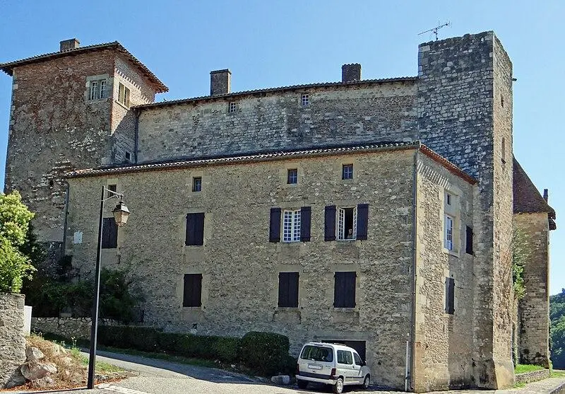 Foto von Lustrac Castle - MOSSOT - © Creative Commons (https://creativecommons.org/licenses/by-sa/4.0/deed.fr)