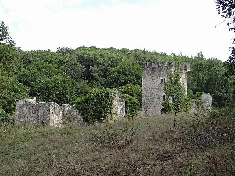 Foto von Château de Fontirou - MOSSOT - © Creative Commons (https://creativecommons.org/licenses/by-sa/4.0/deed.fr)