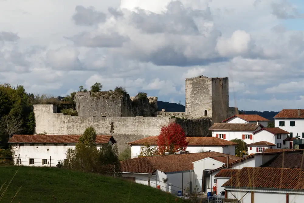 Foto di Castello di Guiche - Sous licence Creative Commons (https://creativecommons.org/licenses/by-sa/4.0/deed.fr) - Par Daniel VILLAFRUELA - © Creative Commons (https://creativecommons.org/licenses/by-sa/4.0/deed.fr)