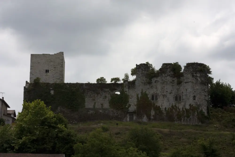Foto di Castello di Guiche - Sous licence Creative Commons (https://creativecommons.org/licenses/by-sa/4.0/deed.fr) - Par Daniel VILLAFRUELA - © Creative Commons (https://creativecommons.org/licenses/by-sa/4.0/deed.fr)