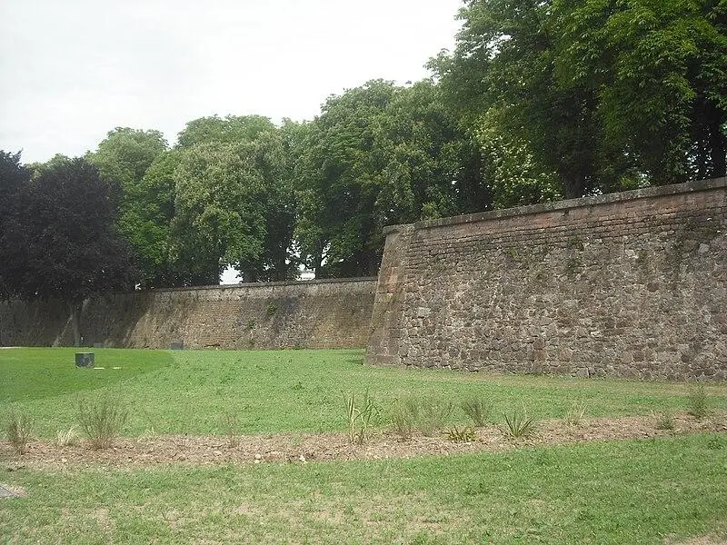 Picture of Remains of all ramparts - Oie blanche - © Creative Commons (https://creativecommons.org/licenses/by-sa/4.0/deed.fr)