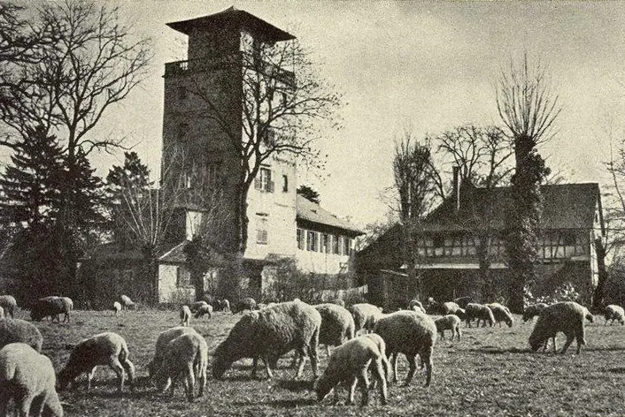 Foto von Tour und Vergnügungspavillon, Breuscheckssel genannt - Unknown authorUnknown author - © Creative Commons (https://creativecommons.org/licenses/by-sa/4.0/deed.fr)